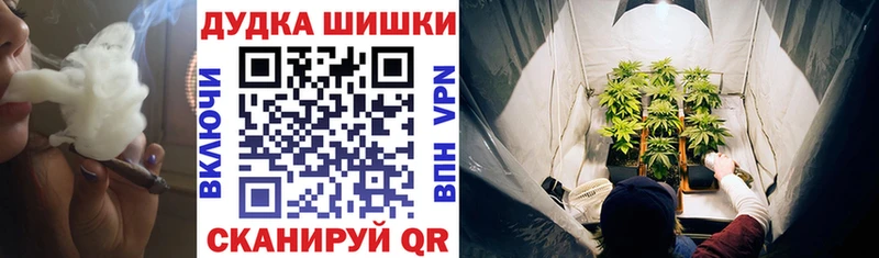 Конопля Советская Гавань