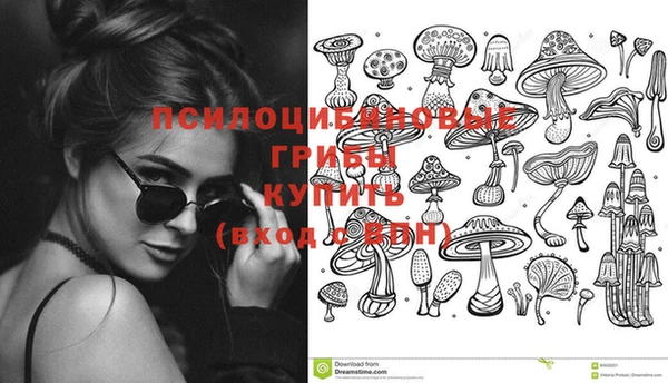 винт Алексин