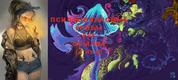 марки lsd Алексеевка