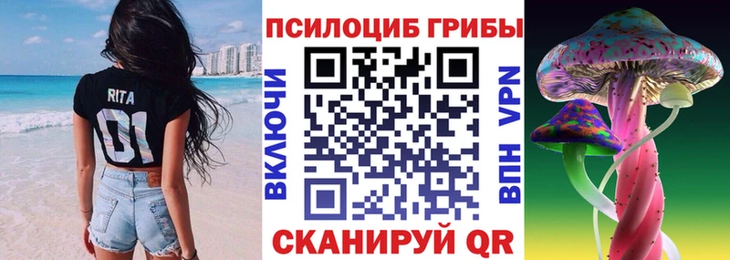 закладка  Советская Гавань  Псилоцибиновые грибы ЛСД 