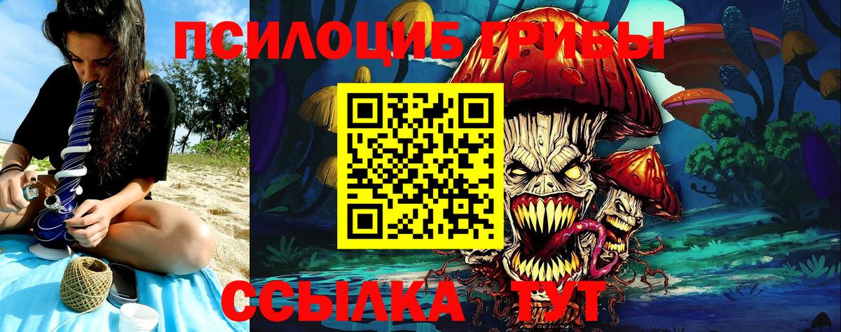 Галлюциногенные грибы Psilocybine cubensis Советская Гавань