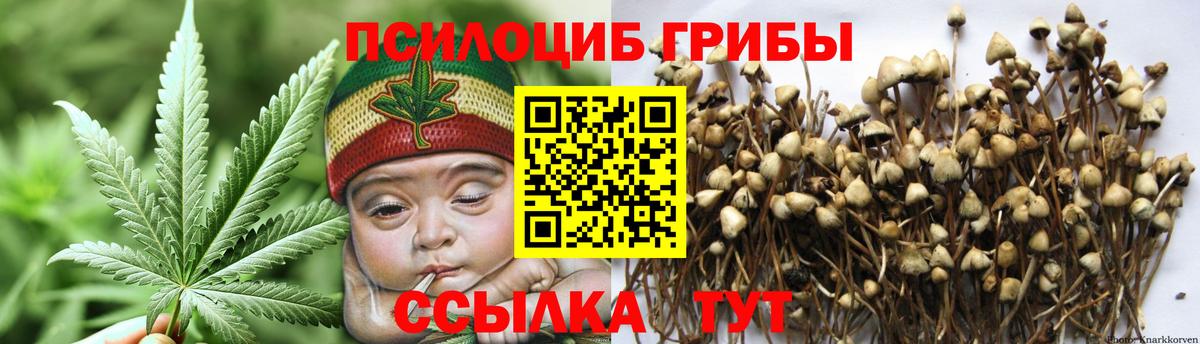 Советская Гавань  Галлюциногенные грибы Psilocybine cubensis  Вход с VPN 