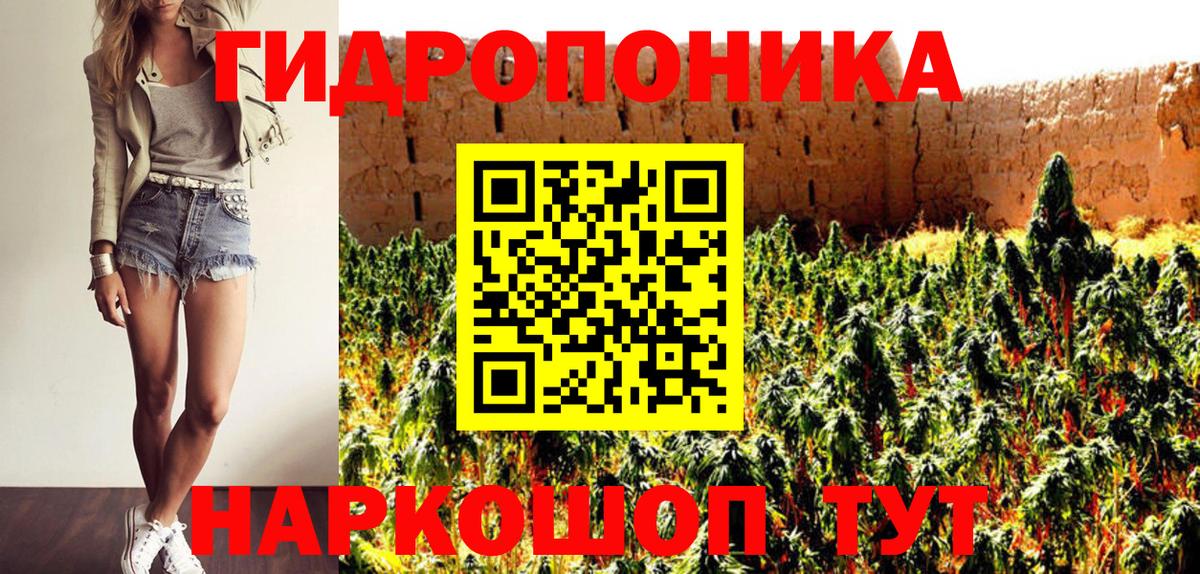 Бошки марихуана тримм  Марихуана OG Kush  Марихуана AK-47  Советская Гавань  Вход с VPN  Шишки марихуана Bruce Banner 